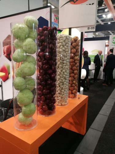 WhatsApp-Image-2019-02-07-at-13.17.34-768x1024