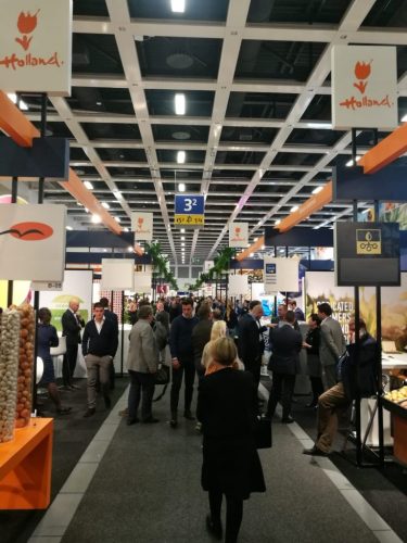 WhatsApp-Image-2019-02-07-at-13.17.36-768x1024