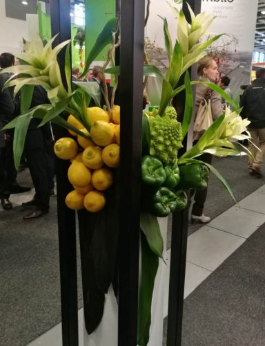 WhatsApp-Image-2019-02-07-at-13.17.361-787x1024